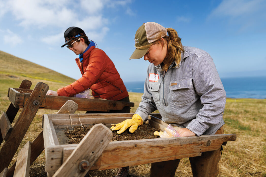 Two archaeologists use shaker screens to separate dirt from artifacts on an anthropological dig near the Pacific Ocean