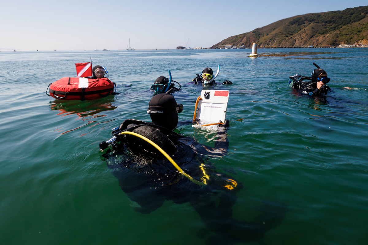 Five scuba divers, including one diver using a dive slate, at the surface of the water near a red buoy with a red falg