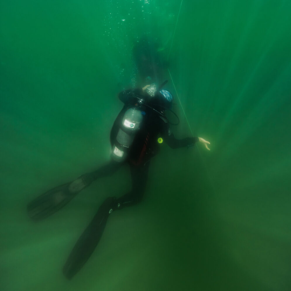 A scuba diver submerged in the ocean water during a green algae bloom