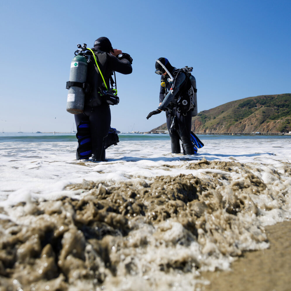 Two divers in black scuba gear and air tanks check their gear while standing in the surf on a beach on a clear day