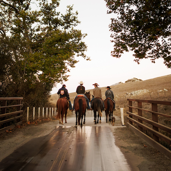 Four students on horseback crossing a bridge toward a hillside