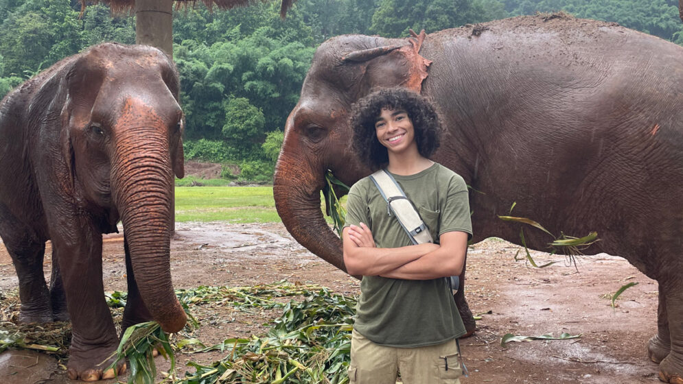 A student stands with his arms folded near two Asian elephants