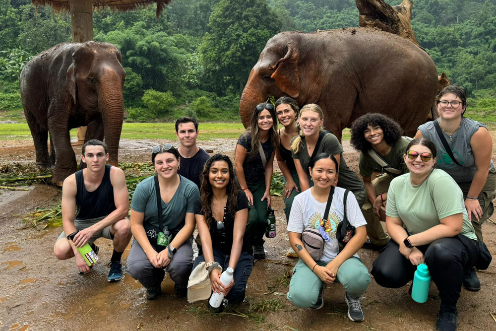 A group of students stands near two Asian elephants