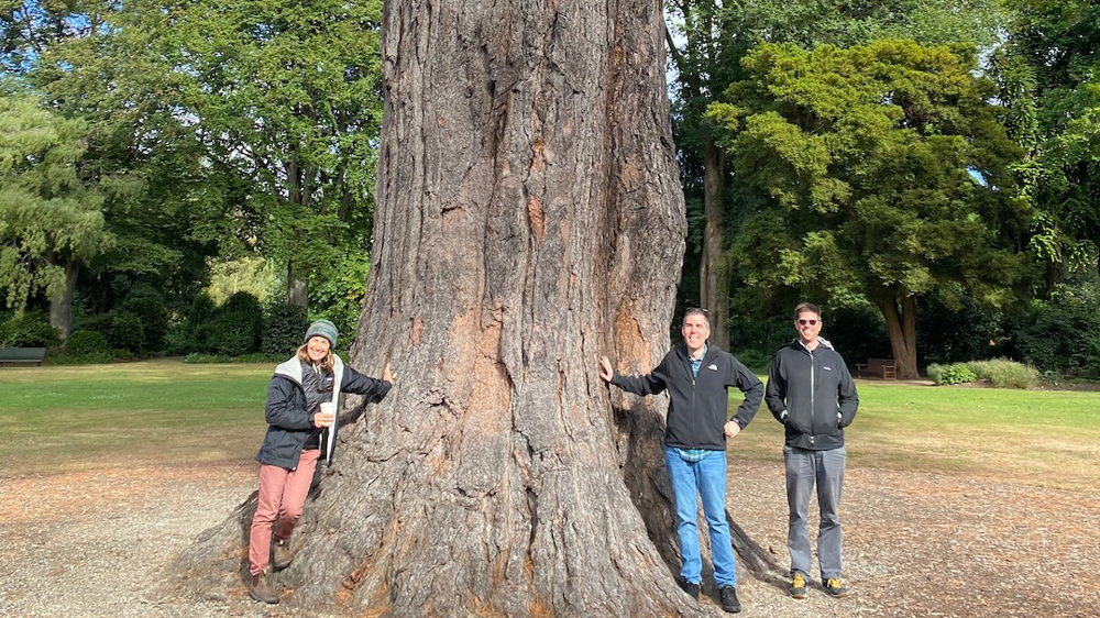 Three professors stand next to the trunk of a large tree