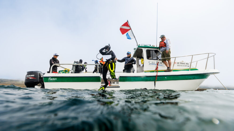 Six people aboard a Cal Poly marine vessel watch as a diver in full scuba gear jumps in the ocean