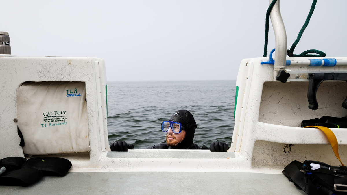 A scuba diver in a black wet suit surfaces near the side of a boat