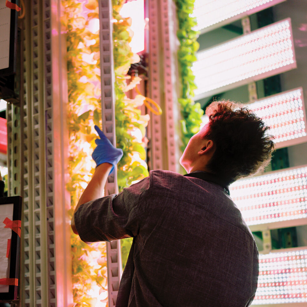 A student wearing blue gloves holds a vertical planter of lettuce in a brightly-lit laboratory.