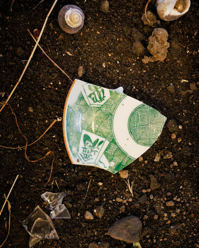 A fragment of a piece of china with a green design.