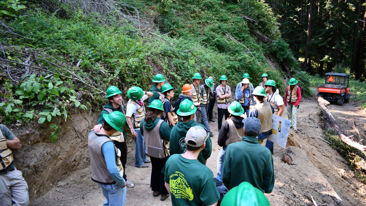 A group of students in green hard hats gather on Swanton Pacific Ranch