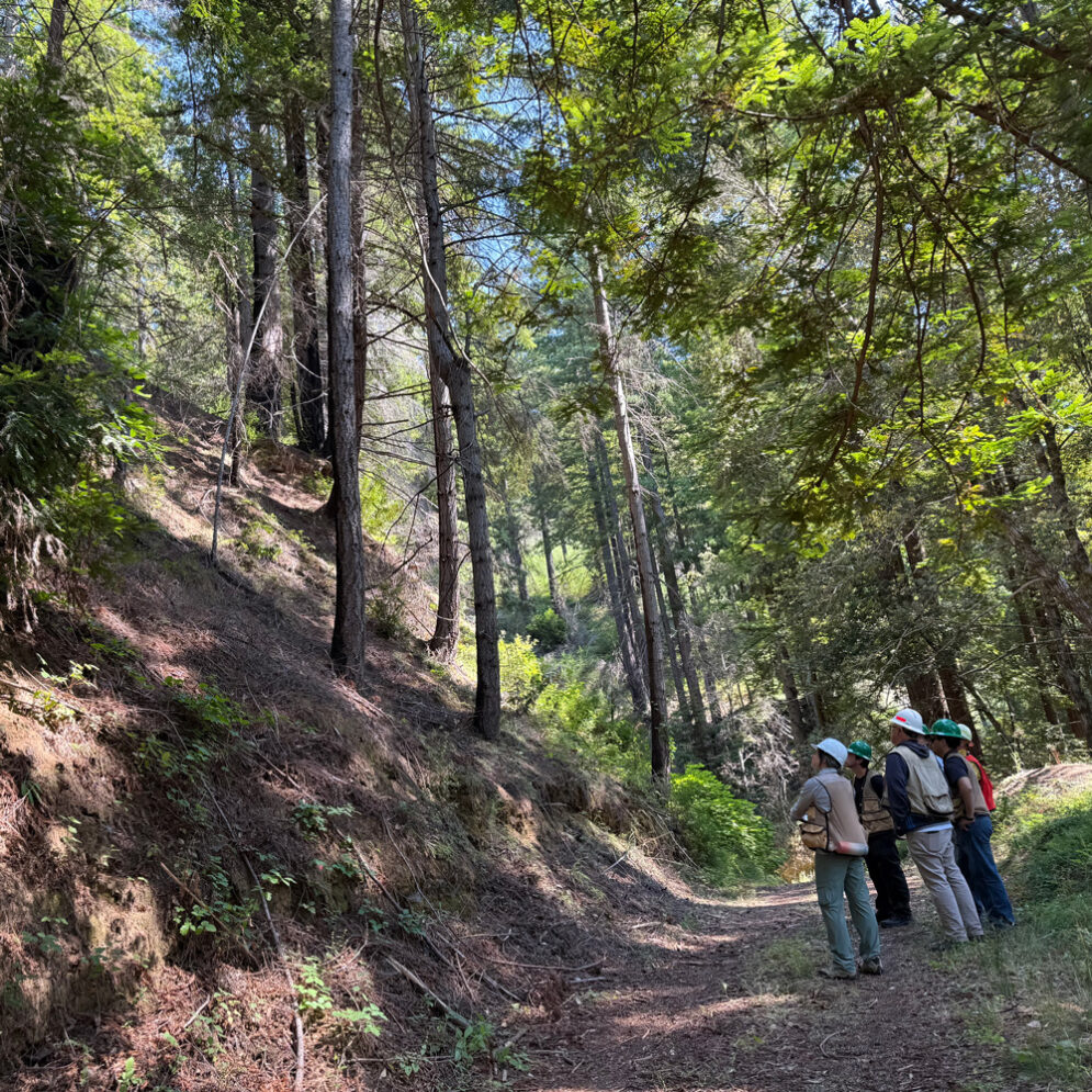 A group of students in hard hats stands at the bottom of a hill at Swanton Pacific Ranch