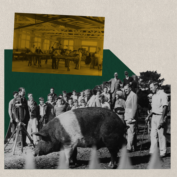 A collage of images from 1931 to 1955, including Poly Royal and aerospace engineering.