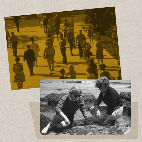 A collage of images of students walking on campus and two women doing research at tidepools.