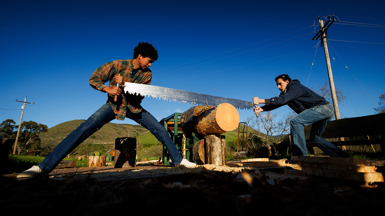 Two young men use a long double-buck saw to cut a mounted log