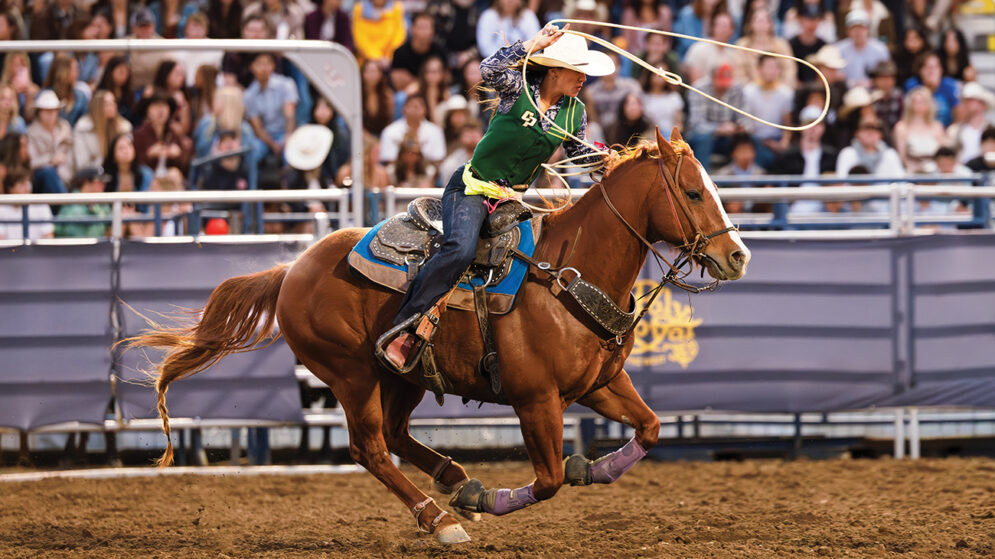 A woman in a western hat rides a horse across a dirt surface while swinging a lasso in front of a crowd