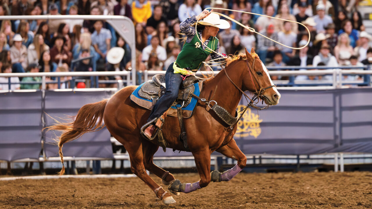 A rodeo athlete circles a lasso overhead while riding a horse in a rodeo arena