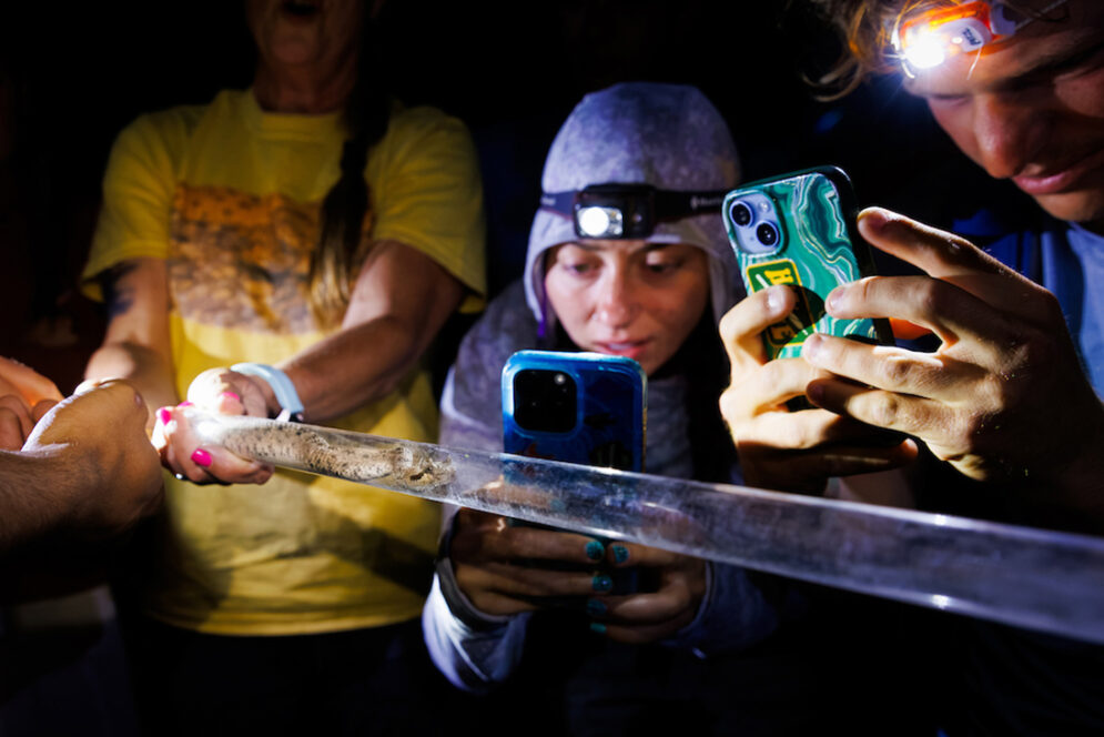 Students use headlamps and phones to examine a snake in a clear tube during a field biology excursion to the Mojave Desert.