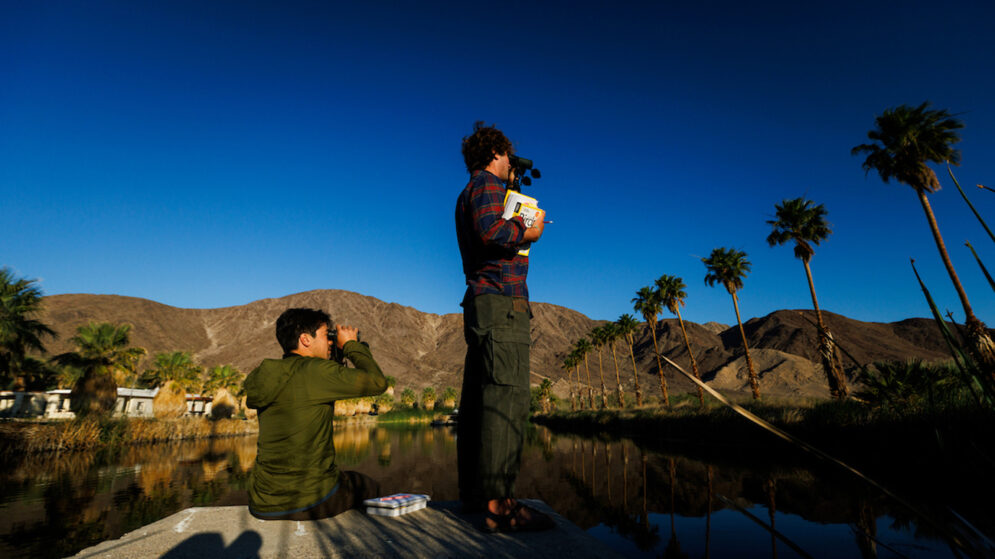 Two students use binoculars near a pond and palm trees during a field biology excursion in the Mojave Desert