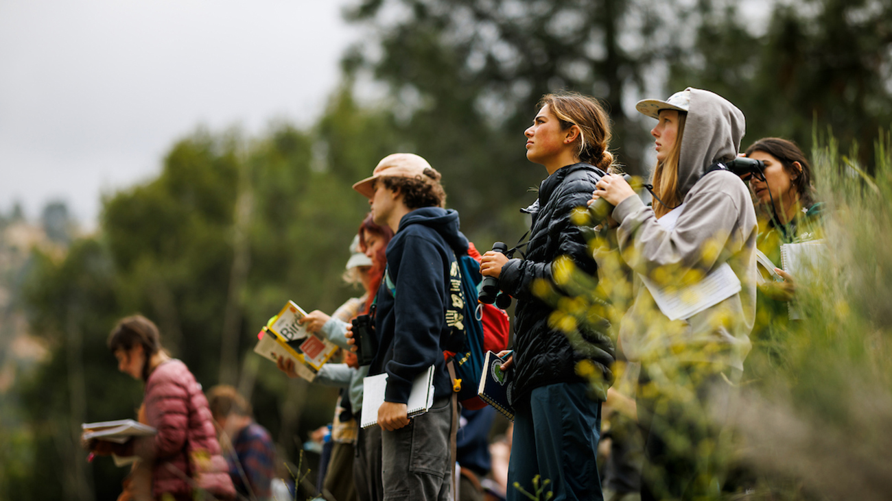 A group of students survey wildlife in a field of brush and wildflowers.