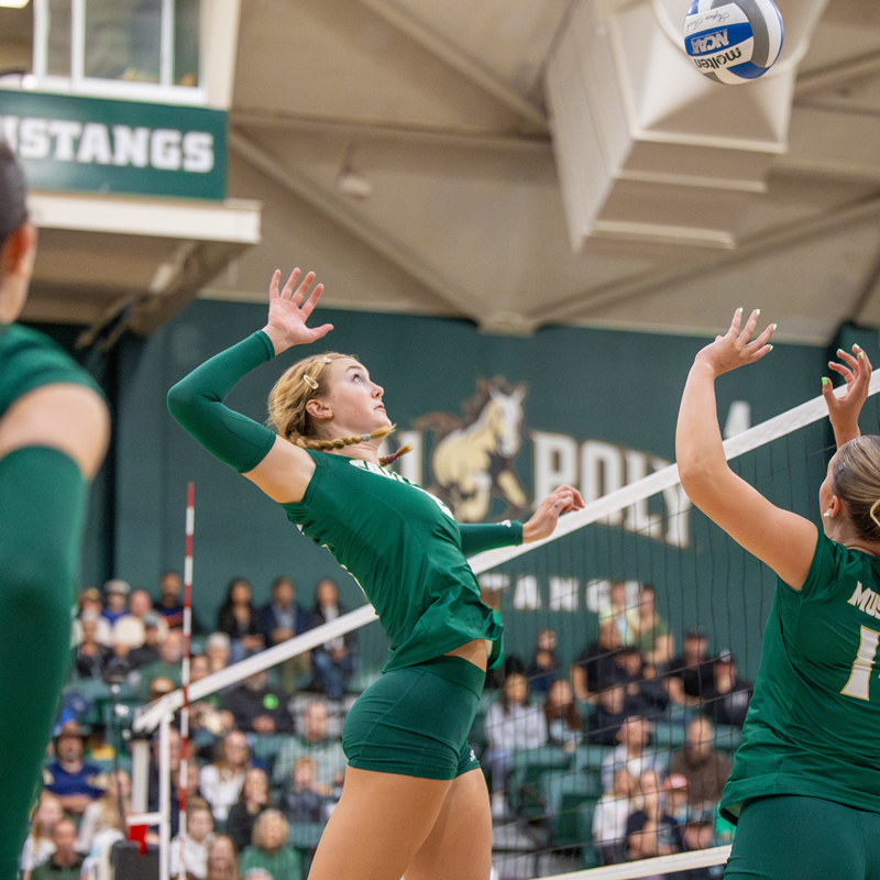 A Cal Poly women's volleyball team member jumps to hit the ball in Mott Gym.