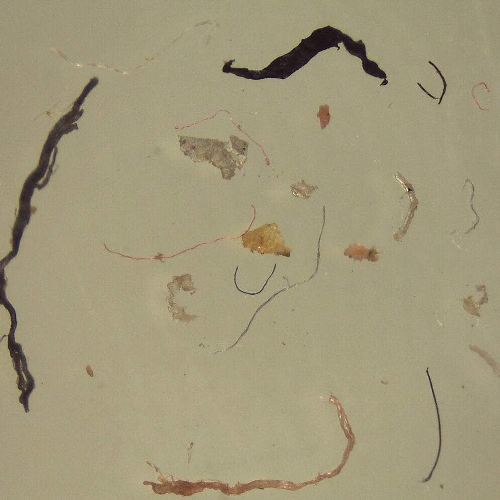 A magnified image of microplastics found in soil.