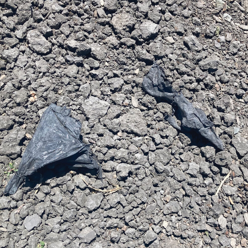 A photo of black agricultural plastic partially buried in soil