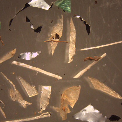 A magnified image of microplastics found in soil.